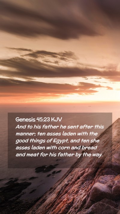 Picture 02 - Genesis 45:23 KJV Mobile Phone Wallpaper - And to his father he sent after this manner; ten - Mobile Bible Verse Wallpaper