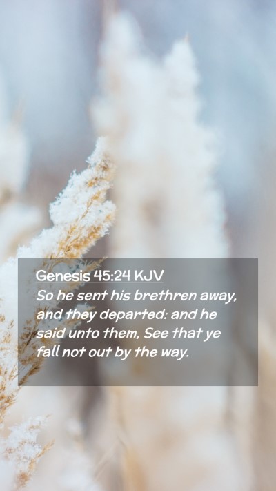 Picture 02 - Genesis 45:24 KJV Mobile Phone Wallpaper - So he sent his brethren away, and they departed: - Mobile Bible Verse Wallpaper