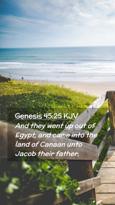 Picture 02 - Genesis 45:25 KJV Mobile Phone Wallpaper - And they went up out of Egypt, and came into the - Mobile Bible Verse Wallpaper