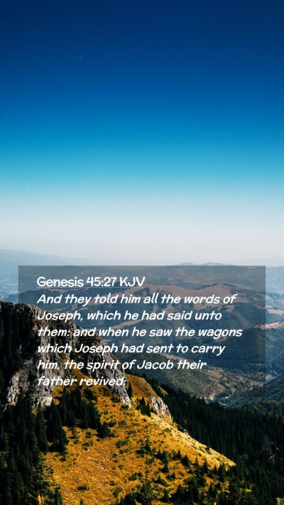 Picture 02 - Genesis 45:27 KJV Mobile Phone Wallpaper - And they told him all the words of Joseph, which - Mobile Bible Verse Wallpaper
