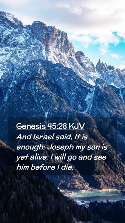 Picture 02 - Genesis 45:28 KJV Mobile Phone Wallpaper - And Israel said, It is enough; Joseph my son is - Mobile Bible Verse Wallpaper