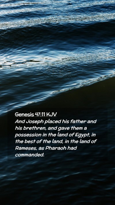 Picture 02 - Genesis 47:11 KJV Mobile Phone Wallpaper - And Joseph placed his father and his brethren, - Mobile Bible Verse Wallpaper