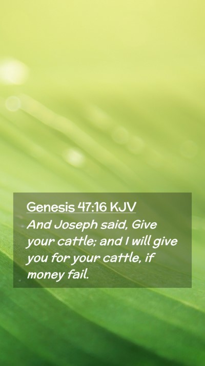 Picture 02 - Genesis 47:16 KJV Mobile Phone Wallpaper - And Joseph said, Give your cattle; and I will - Mobile Bible Verse Wallpaper