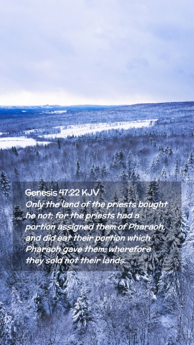 Picture 02 - Genesis 47:22 KJV Mobile Phone Wallpaper - Only the land of the priests bought he not; for - Mobile Bible Verse Wallpaper