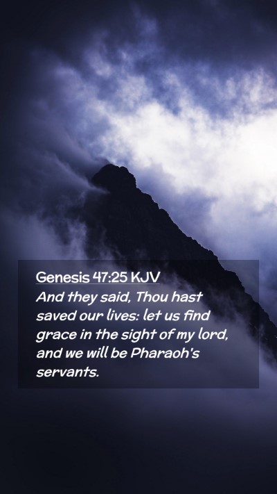 Picture 02 - Genesis 47:25 KJV Mobile Phone Wallpaper - And they said, Thou hast saved our lives: let us - Mobile Bible Verse Wallpaper