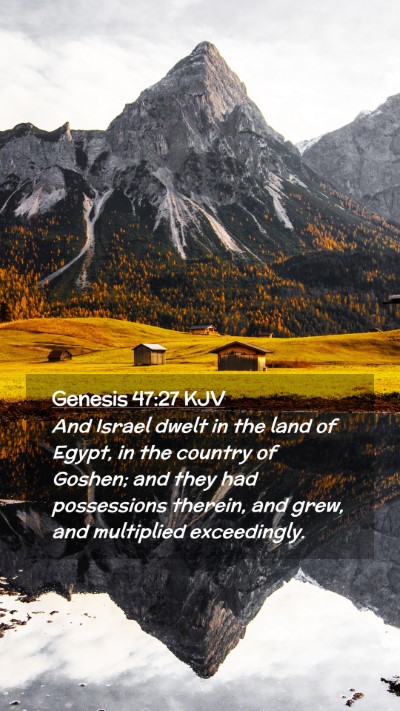 Picture 02 - Genesis 47:27 KJV Mobile Phone Wallpaper - And Israel dwelt in the land of Egypt, in the - Mobile Bible Verse Wallpaper
