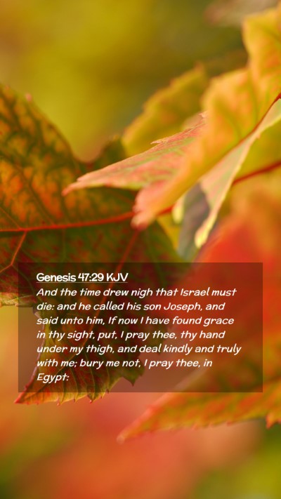 Picture 02 - Genesis 47:29 KJV Mobile Phone Wallpaper - And the time drew nigh that Israel must die: and - Mobile Bible Verse Wallpaper