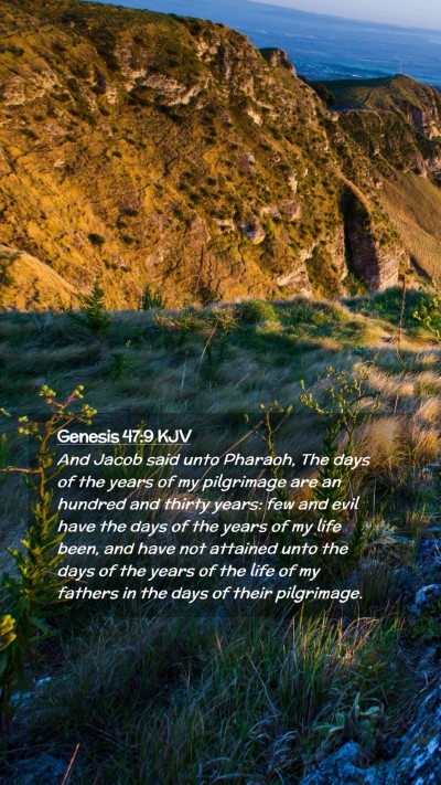 Picture 02 - Genesis 47:9 KJV Mobile Phone Wallpaper - And Jacob said unto Pharaoh, The days of the - Mobile Bible Verse Wallpaper