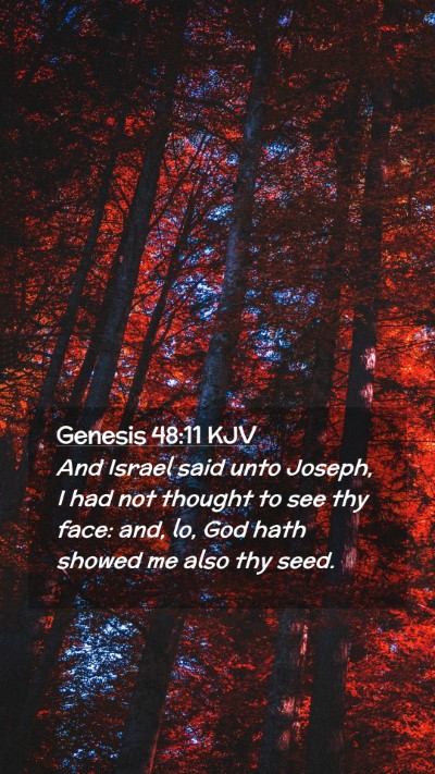 Picture 02 - Genesis 48:11 KJV Mobile Phone Wallpaper - And Israel said unto Joseph, I had not thought to - Mobile Bible Verse Wallpaper