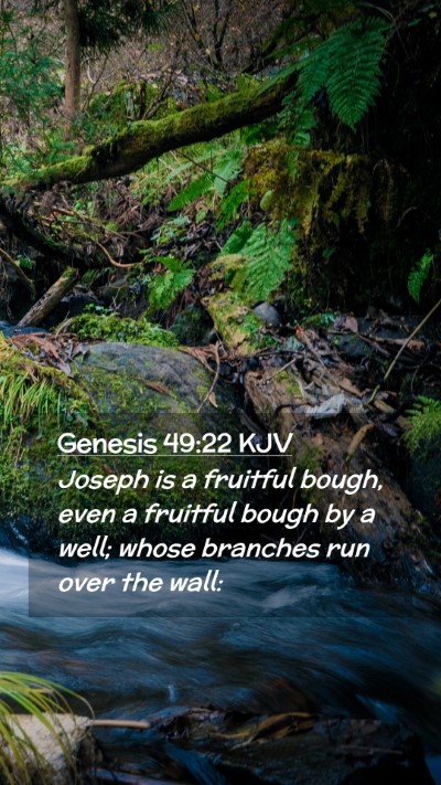 Picture 02 - Genesis 49:22 KJV Mobile Phone Wallpaper - Joseph is a fruitful bough, even a fruitful bough - Mobile Bible Verse Wallpaper
