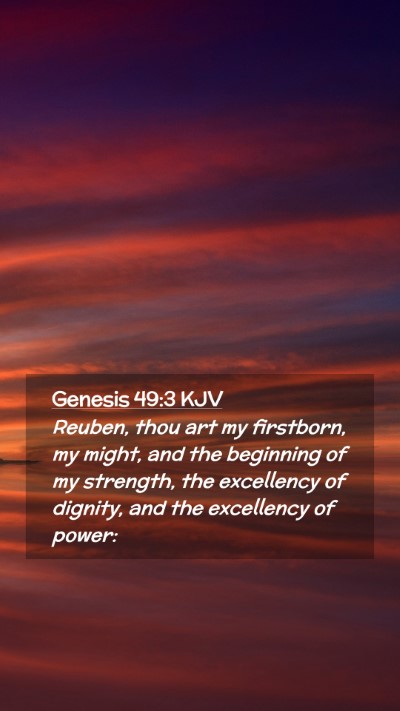 Picture 02 - Genesis 49:3 KJV Mobile Phone Wallpaper - Reuben, thou art my firstborn, my might, and the - Mobile Bible Verse Wallpaper