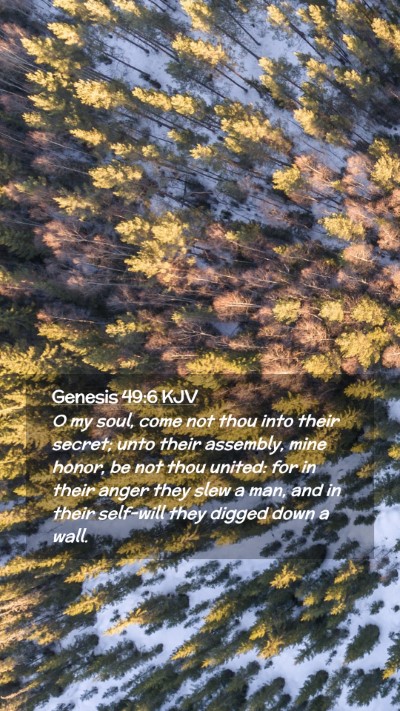 Picture 02 - Genesis 49:6 KJV Mobile Phone Wallpaper - O my soul, come not thou into their secret; unto - Mobile Bible Verse Wallpaper