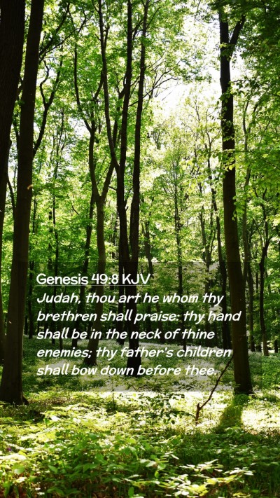 Picture 02 - Genesis 49:8 KJV Mobile Phone Wallpaper - Judah, thou art he whom thy brethren shall - Mobile Bible Verse Wallpaper