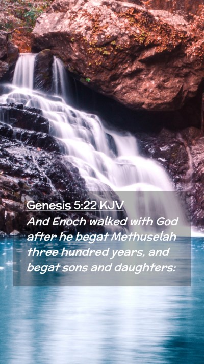 Picture 02 - Genesis 5:22 KJV Mobile Phone Wallpaper - And Enoch walked with God after he begat - Mobile Bible Verse Wallpaper