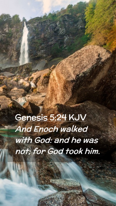 Picture 02 - Genesis 5:24 KJV Mobile Phone Wallpaper - And Enoch walked with God: and he was not; for - Mobile Bible Verse Wallpaper