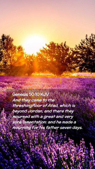 Picture 02 - Genesis 50:10 KJV Mobile Phone Wallpaper - And they came to the threshingfloor of Atad, - Mobile Bible Verse Wallpaper