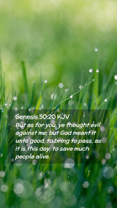 Picture 02 - Genesis 50:20 KJV Mobile Phone Wallpaper - But as for you, ye thought evil against me; but - Mobile Bible Verse Wallpaper