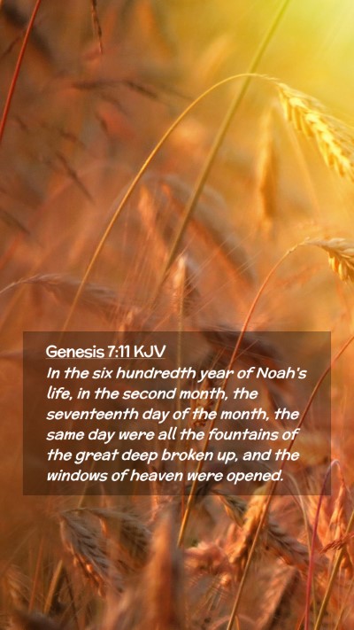 Picture 02 - Genesis 7:11 KJV Mobile Phone Wallpaper - In the six hundredth year of Noah's life, in the - Mobile Bible Verse Wallpaper