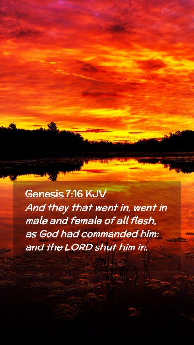Picture 02 - Genesis 7:16 KJV Mobile Phone Wallpaper - And they that went in, went in male and female of - Mobile Bible Verse Wallpaper
