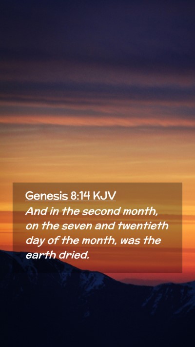 Picture 02 - Genesis 8:14 KJV Mobile Phone Wallpaper - And in the second month, on the seven and - Mobile Bible Verse Wallpaper