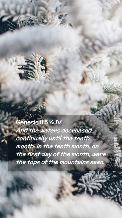 Picture 02 - Genesis 8:5 KJV Mobile Phone Wallpaper - And the waters decreased continually until the - Mobile Bible Verse Wallpaper