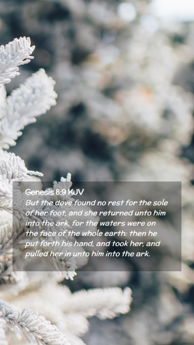 Picture 02 - Genesis 8:9 KJV Mobile Phone Wallpaper - But the dove found no rest for the sole of her - Mobile Bible Verse Wallpaper