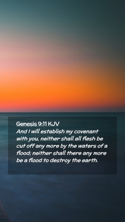 Picture 02 - Genesis 9:11 KJV Mobile Phone Wallpaper - And I will establish my covenant with you, - Mobile Bible Verse Wallpaper