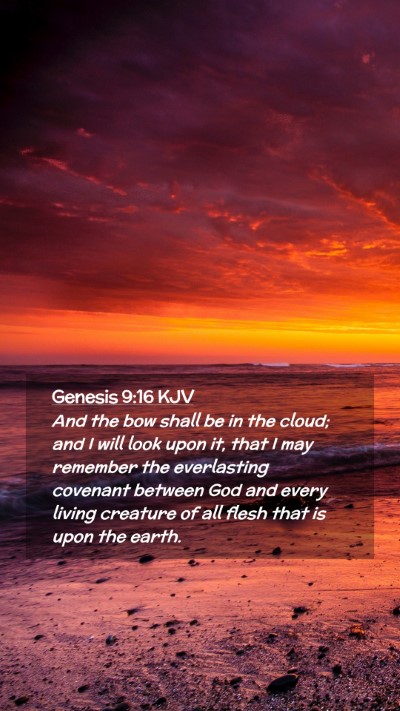 Picture 02 - Genesis 9:16 KJV Mobile Phone Wallpaper - And the bow shall be in the cloud; and I will - Mobile Bible Verse Wallpaper