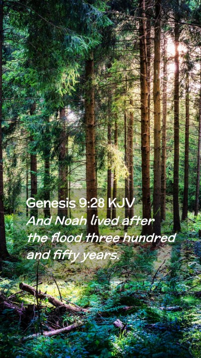 Picture 02 - Genesis 9:28 KJV Mobile Phone Wallpaper - And Noah lived after the flood three hundred and - Mobile Bible Verse Wallpaper