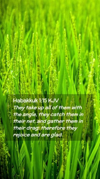Picture 02 - Habakkuk 1:15 KJV Mobile Phone Wallpaper - They take up all of them with the angle, they - Mobile Bible Verse Wallpaper