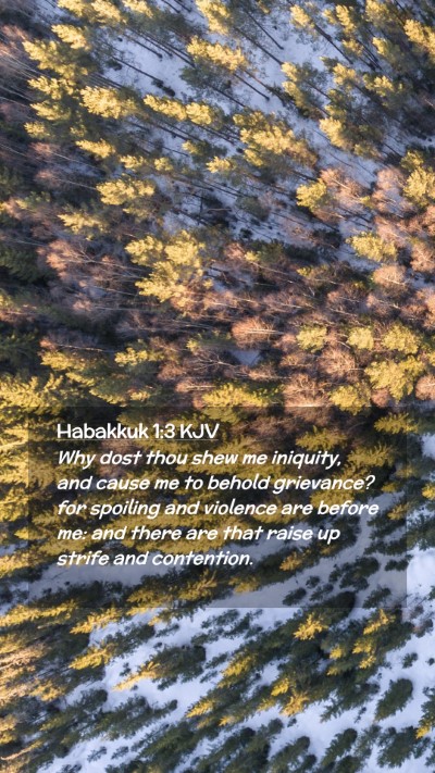 Picture 02 - Habakkuk 1:3 KJV Mobile Phone Wallpaper - Why dost thou shew me iniquity, and cause me to - Mobile Bible Verse Wallpaper