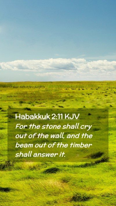 Picture 02 - Habakkuk 2:11 KJV Mobile Phone Wallpaper - For the stone shall cry out of the wall, and the - Mobile Bible Verse Wallpaper