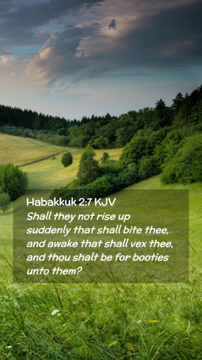 Picture 02 - Habakkuk 2:7 KJV Mobile Phone Wallpaper - Shall they not rise up suddenly that shall bite - Mobile Bible Verse Wallpaper