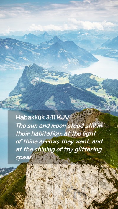 Picture 02 - Habakkuk 3:11 KJV Mobile Phone Wallpaper - The sun and moon stood still in their habitation: - Mobile Bible Verse Wallpaper