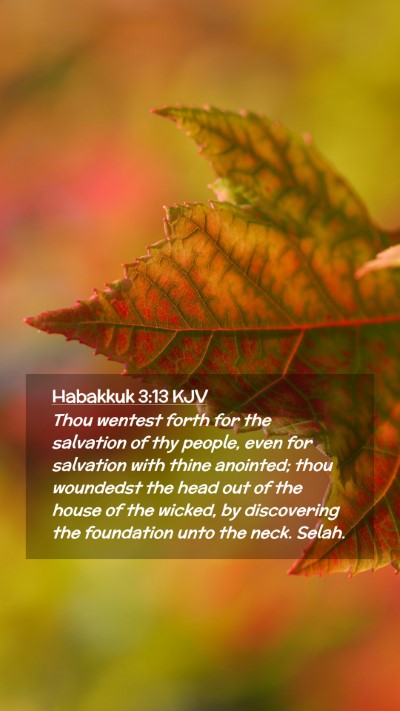 Picture 02 - Habakkuk 3:13 KJV Mobile Phone Wallpaper - Thou wentest forth for the salvation of thy - Mobile Bible Verse Wallpaper