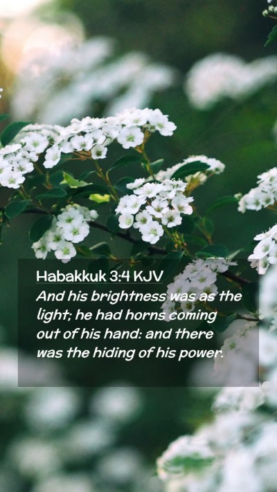 Picture 02 - Habakkuk 3:4 KJV Mobile Phone Wallpaper - And his brightness was as the light; he had horns - Mobile Bible Verse Wallpaper