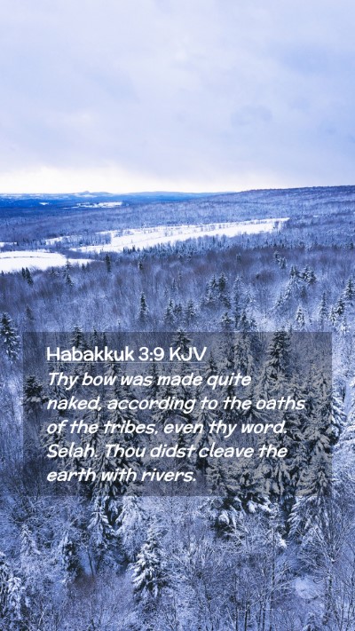 Picture 02 - Habakkuk 3:9 KJV Mobile Phone Wallpaper - Thy bow was made quite naked, according to the - Mobile Bible Verse Wallpaper
