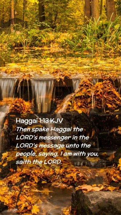 Picture 02 - Haggai 1:13 KJV Mobile Phone Wallpaper - Then spake Haggai the LORD's messenger in the - Mobile Bible Verse Wallpaper