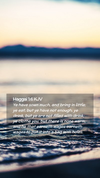 Picture 02 - Haggai 1:6 KJV Mobile Phone Wallpaper - Ye have sown much, and bring in little; ye eat, - Mobile Bible Verse Wallpaper