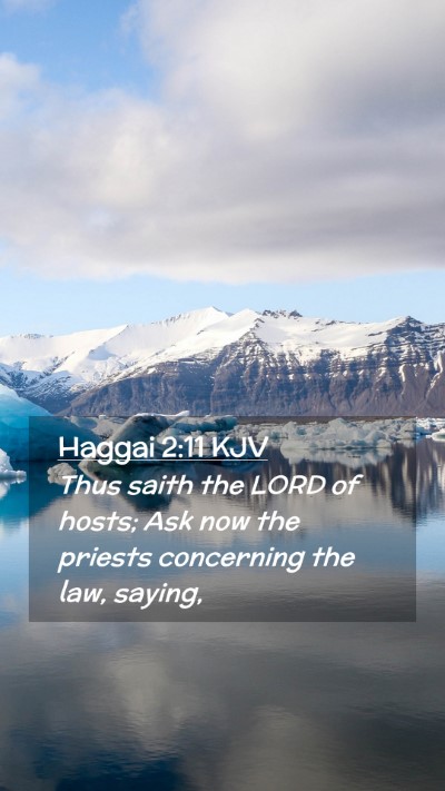 Picture 02 - Haggai 2:11 KJV Mobile Phone Wallpaper - Thus saith the LORD of hosts; Ask now the priests - Mobile Bible Verse Wallpaper