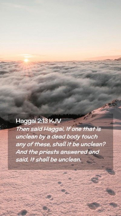 Picture 02 - Haggai 2:13 KJV Mobile Phone Wallpaper - Then said Haggai, If one that is unclean by a - Mobile Bible Verse Wallpaper