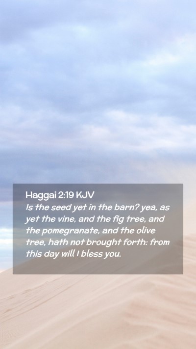 Picture 02 - Haggai 2:19 KJV Mobile Phone Wallpaper - Is the seed yet in the barn? yea, as yet the - Mobile Bible Verse Wallpaper