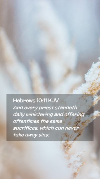 Picture 02 - Hebrews 10:11 KJV Mobile Phone Wallpaper - And every priest standeth daily ministering and - Mobile Bible Verse Wallpaper