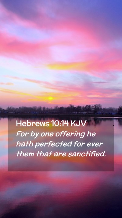 Picture 02 - Hebrews 10:14 KJV Mobile Phone Wallpaper - For by one offering he hath perfected for ever - Mobile Bible Verse Wallpaper