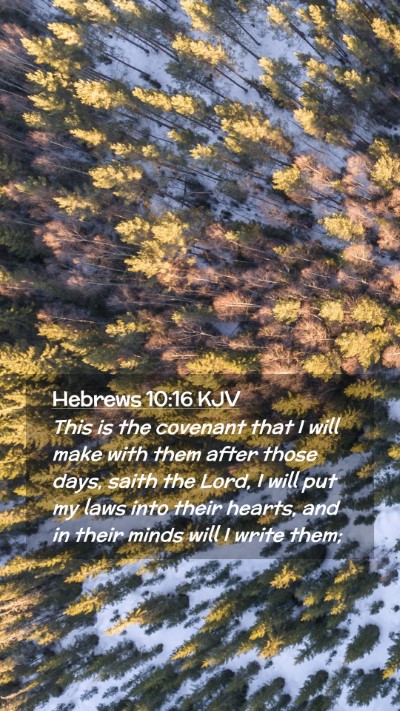 Picture 02 - Hebrews 10:16 KJV Mobile Phone Wallpaper - This is the covenant that I will make with them - Mobile Bible Verse Wallpaper