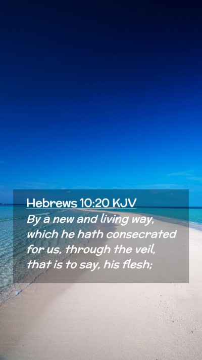 Picture 02 - Hebrews 10:20 KJV Mobile Phone Wallpaper - By a new and living way, which he hath - Mobile Bible Verse Wallpaper