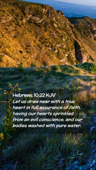 Picture 02 - Hebrews 10:22 KJV Mobile Phone Wallpaper - Let us draw near with a true heart in full - Mobile Bible Verse Wallpaper
