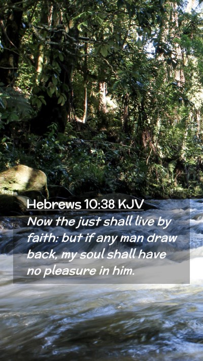 Picture 02 - Hebrews 10:38 KJV Mobile Phone Wallpaper - Now the just shall live by faith: but if any man - Mobile Bible Verse Wallpaper