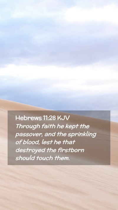 Picture 02 - Hebrews 11:28 KJV Mobile Phone Wallpaper - Through faith he kept the passover, and the - Mobile Bible Verse Wallpaper