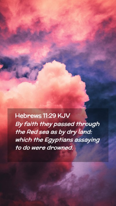 Picture 02 - Hebrews 11:29 KJV Mobile Phone Wallpaper - By faith they passed through the Red sea as by - Mobile Bible Verse Wallpaper